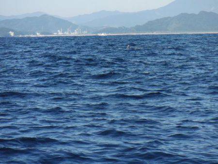 開進丸 釣果