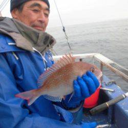 鯛紅丸 釣果