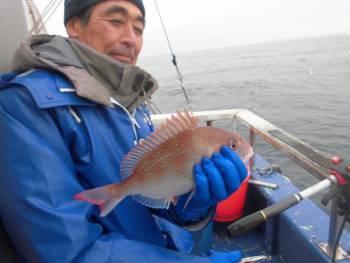 鯛紅丸 釣果