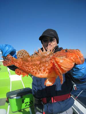 松栄丸 釣果