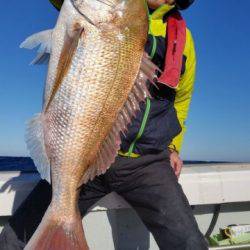 飛燕さくら丸 釣果