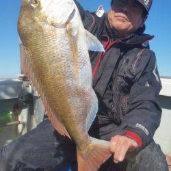 飛燕さくら丸 釣果