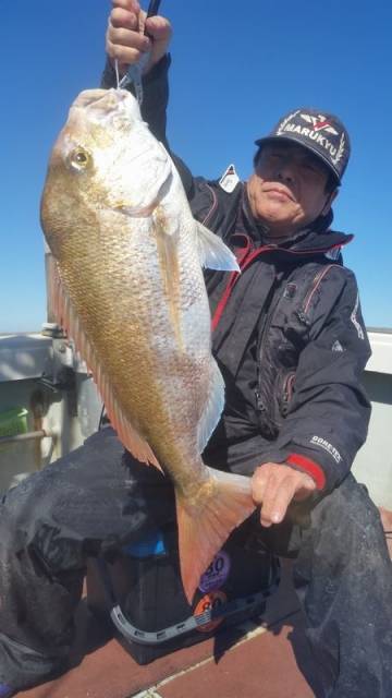 飛燕さくら丸 釣果