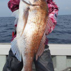 飛燕さくら丸 釣果