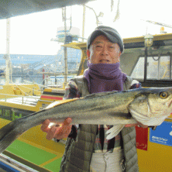 荒川屋 釣果