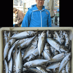 荒川屋 釣果