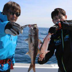 へいみつ丸 釣果