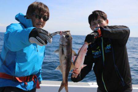 へいみつ丸 釣果