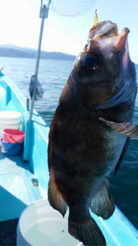 宝昌丸 釣果