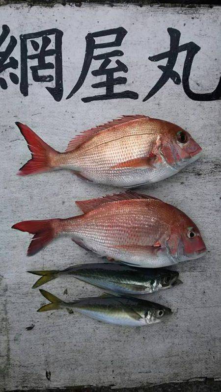 網屋丸 釣果