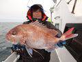 里輝丸 釣果