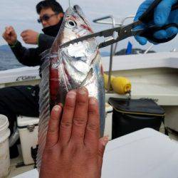 遊漁船　ニライカナイ 釣果