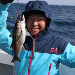 へいみつ丸 釣果