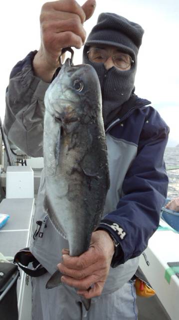 泰丸 釣果