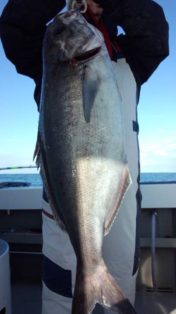 泰丸 釣果