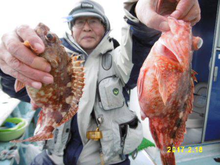 まとばや 釣果