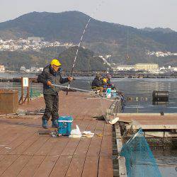 淡路じゃのひれフィッシングパーク 釣果