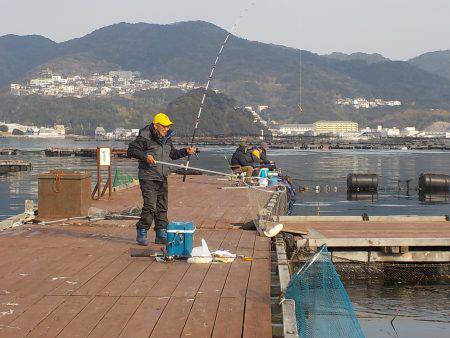 淡路じゃのひれフィッシングパーク 釣果