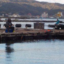 淡路じゃのひれフィッシングパーク 釣果