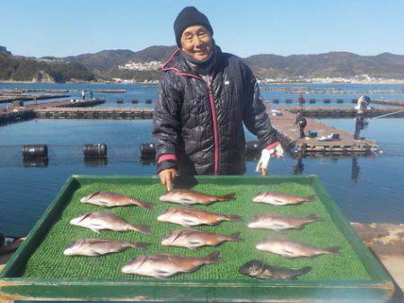 淡路じゃのひれフィッシングパーク 釣果