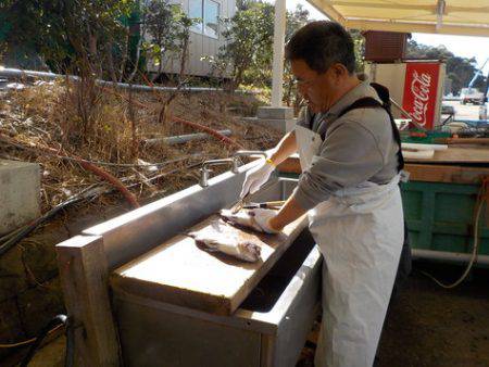 淡路じゃのひれフィッシングパーク 釣果