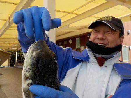 淡路じゃのひれフィッシングパーク 釣果