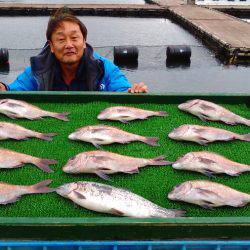 淡路じゃのひれフィッシングパーク 釣果