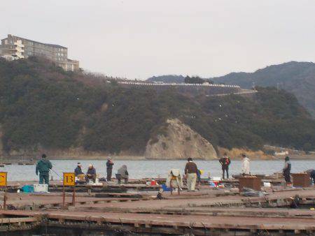 淡路じゃのひれフィッシングパーク 釣果