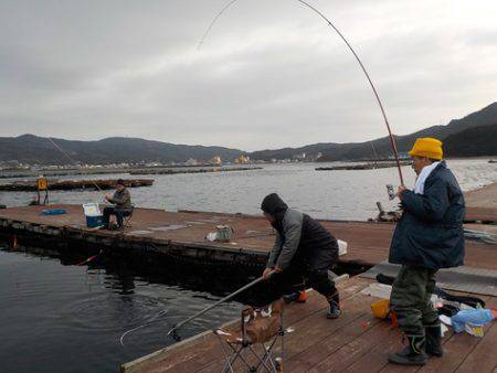 淡路じゃのひれフィッシングパーク 釣果