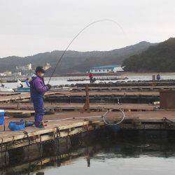 淡路じゃのひれフィッシングパーク 釣果