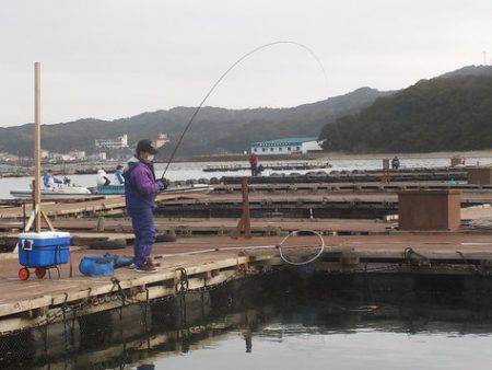 淡路じゃのひれフィッシングパーク 釣果