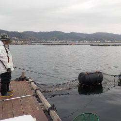 淡路じゃのひれフィッシングパーク 釣果