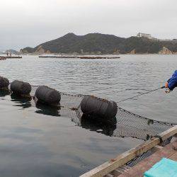 淡路じゃのひれフィッシングパーク 釣果