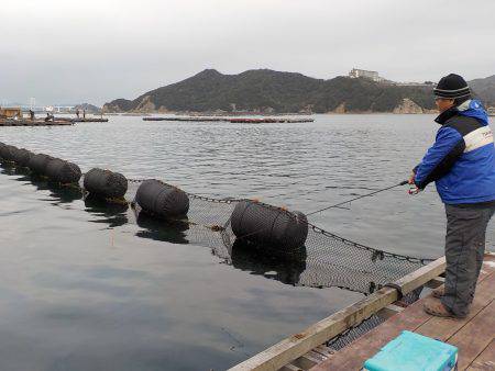 淡路じゃのひれフィッシングパーク 釣果