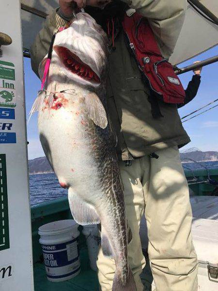 広進丸 釣果