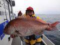 里輝丸 釣果