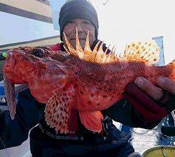 しまや丸 釣果