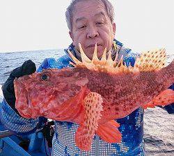 しまや丸 釣果