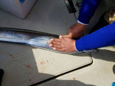 遊漁船　ニライカナイ 釣果