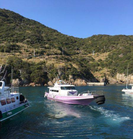 鵜来島家本渡船 釣果