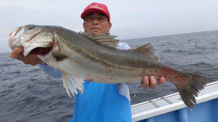 浜新丸 釣果