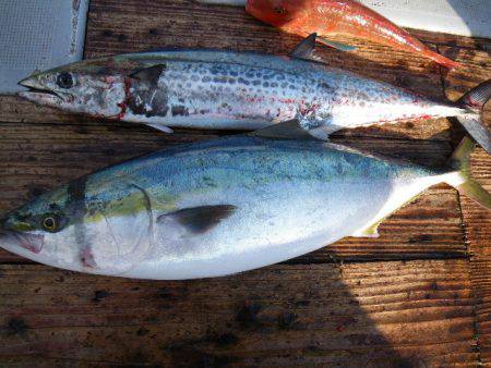 小海途 釣果