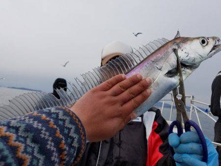 遊漁船　ニライカナイ 釣果