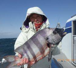 石川丸 釣果