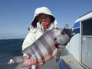 石川丸 釣果