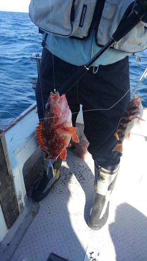 幸導丸 釣果