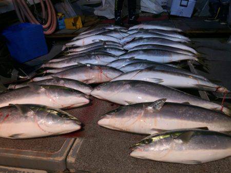 幸風（さちかぜ） 釣果