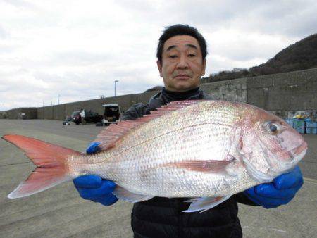 大進丸（新潟） 釣果