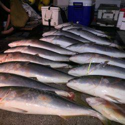 幸風（さちかぜ） 釣果