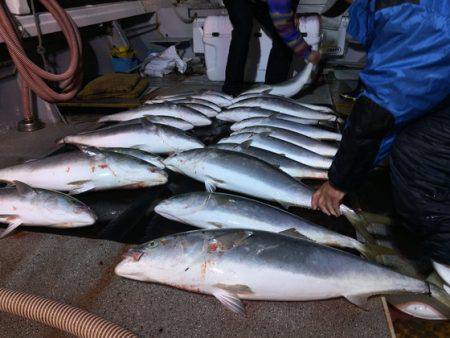 幸風（さちかぜ） 釣果